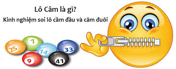 dau-dit-lo-cam